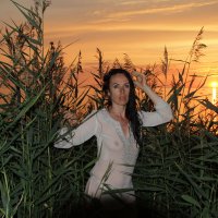 Закат 2 :: Cергей Кочнев Закат 2 :: Cергей Кочнев