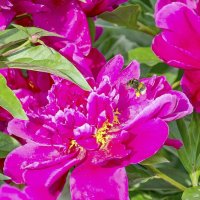 На посадку :: Валерий Иванович