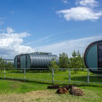 Из жизни отдыхающих... :: Михаил "Skipper" Из жизни отдыхающих... :: Михаил "Skipper"