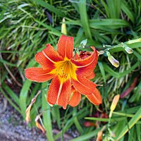 Барселона. :: Владимир Драгунский