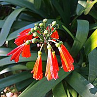 Барселона. :: Владимир Драгунский