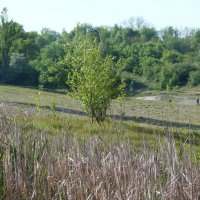 Природа  Крыма :: Валентин Семчишин