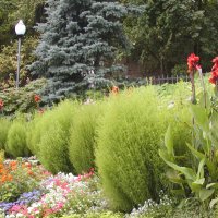 Патриаршие сады. :: Николай ntv