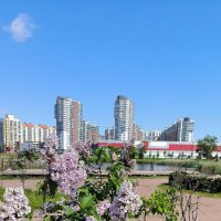 Сиреневый июнь. :: Ольга 