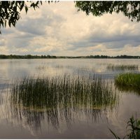 Лето долгожданное... :: Aleksandr Gal