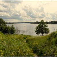 Как прекрасен этот МИР... :: Aleksandr Gal