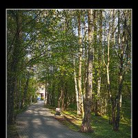 Городская зарисовка :: Владимир Кроливец Городская зарисовка :: Владимир Кроливец