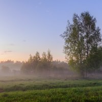 Майский вечер :: Серый 