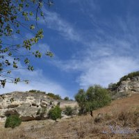 Природа Крыма :: Amazing Cosmea