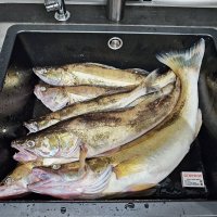 Хороший улов на день России :: Валерий Иванович Хороший улов на день России :: Валерий Иванович