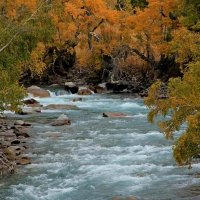 ПО ГОРАМ, осень. :: Виктор Осипчук ПО ГОРАМ, осень. :: Виктор Осипчук