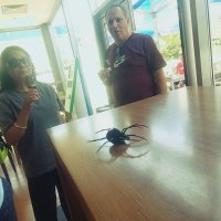 ЛЕ БО 2 (15) :: CLOSE WAYS ALL