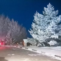 Остановка в пути. :: юрий Амосов