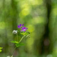 ___ :: Yuriy V ___ :: Yuriy V