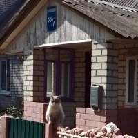 *** :: Валентина Береснева