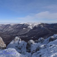 Природа Крыма :: Amazing Cosmea
