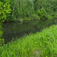 ***** :: юрий поляков