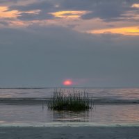 Про Питер :: Владимир Колесников Про Питер :: Владимир Колесников