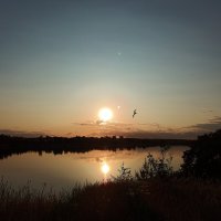 Летний вечер :: Андрей 