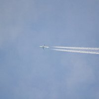 10 000 м :: petyxov петухов