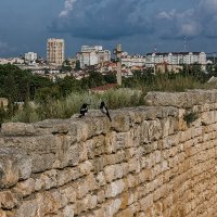 На грани времён :: Дмитрий Костоусов
