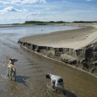 Лето :: Anna Ivanova