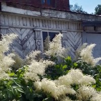 *** :: Валентина Береснева *** :: Валентина Береснева