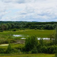 Ядрин. Болотистая местность в пойме озера Сергач. :: Пётр Чернега
