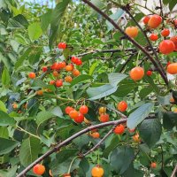 ,,, :: Сергей Тимоновский