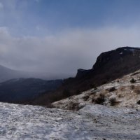 Природа Крыма :: Amazing Cosmea