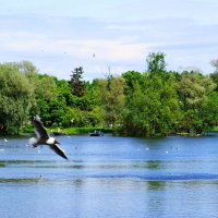 /// :: Виктор Никитенко