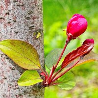 Одна :: Михаил Свиденцов