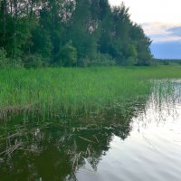 Лето. Вечер. :: Ольга Довженко