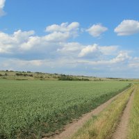 Мои дороги. :: Виктор 