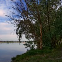 бродя с камерой по берегу :: Вячеслав Позывной