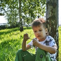 ... :: ВЛАДИМИР 