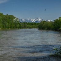 ... :: Жора Житников