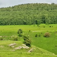 Баксанское ущелье. :: Tata Wolf