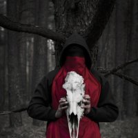 Енарей... :: Римский Шершень Hornet