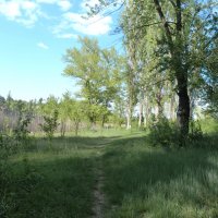 Природа Крыма :: Валентин Семчишин