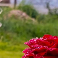 Россыпи драгоценных камней... :: Леонид Абросимов