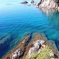 Барселона. :: Владимир Драгунский