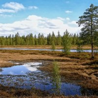 *** :: Aleksey Afonin