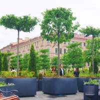 /// :: Виктор Никитенко