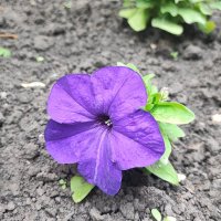 ,,, :: Сергей Тимоновский