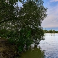 берег :: Вячеслав Позывной