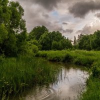 Летний дождь :: Андрей Дворников