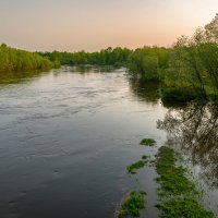 ... :: Жора Житников