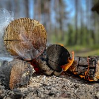 Костерок :: Дмитрий Иванов