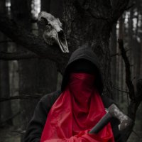 Енарей — хозяин леса.. :: Римский Шершень Hornet